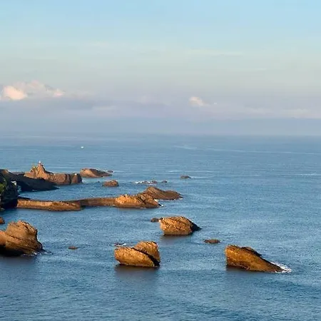 Amazing Cosy With Ocean View & Pool Biarriz